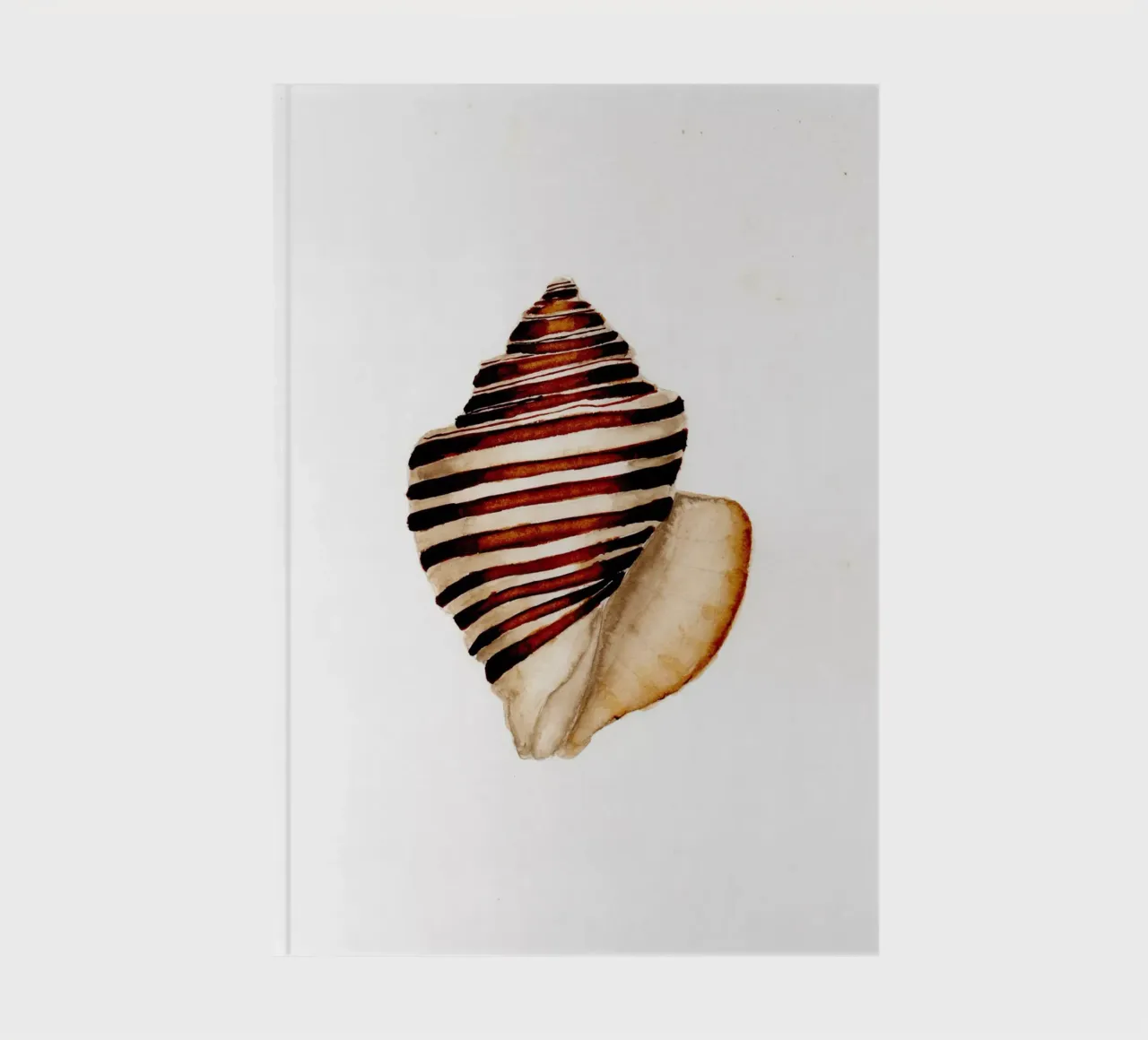stripe shell notebook by Nathys_illustration