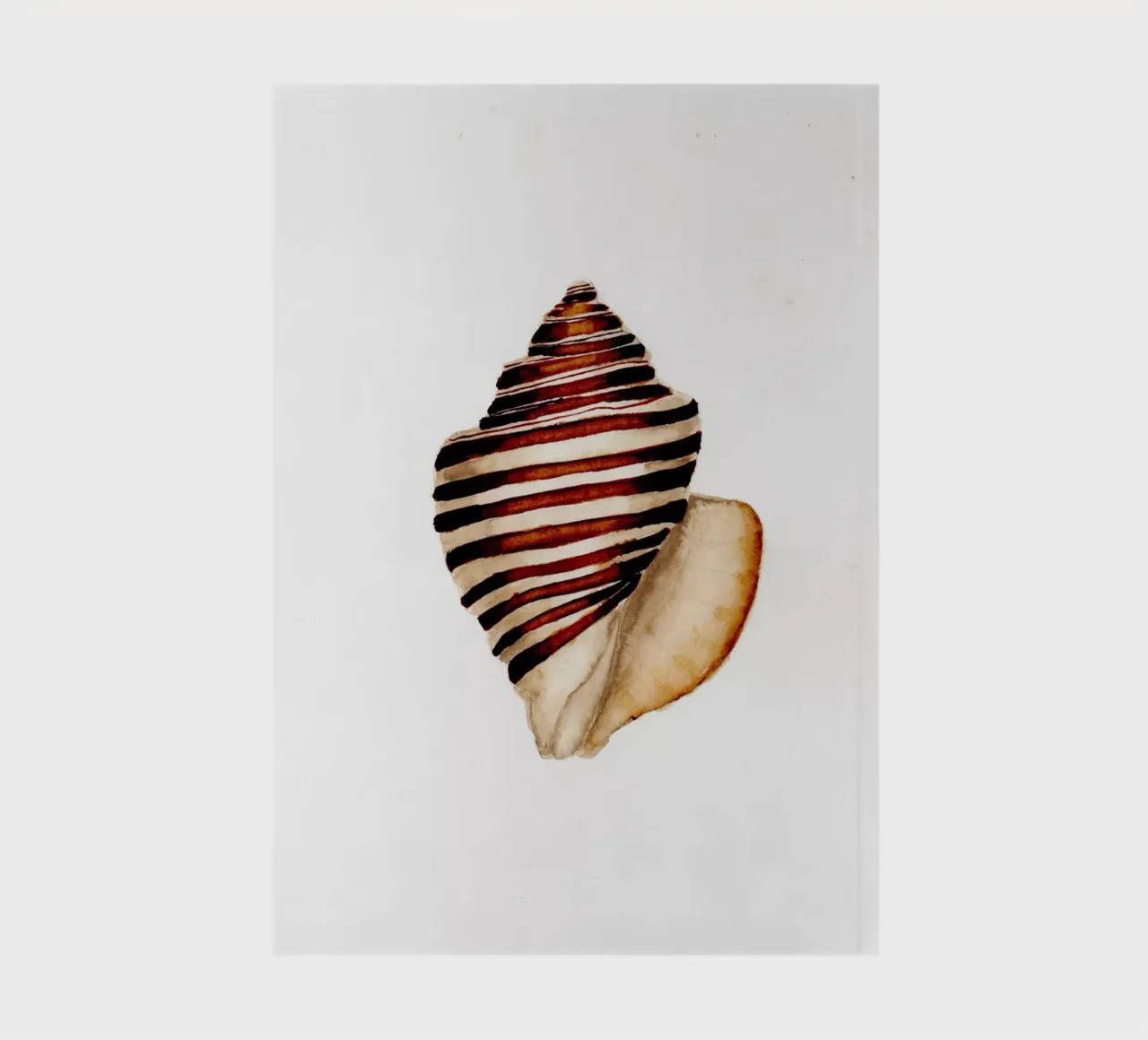 stripe shell notebook by Nathys_illustration