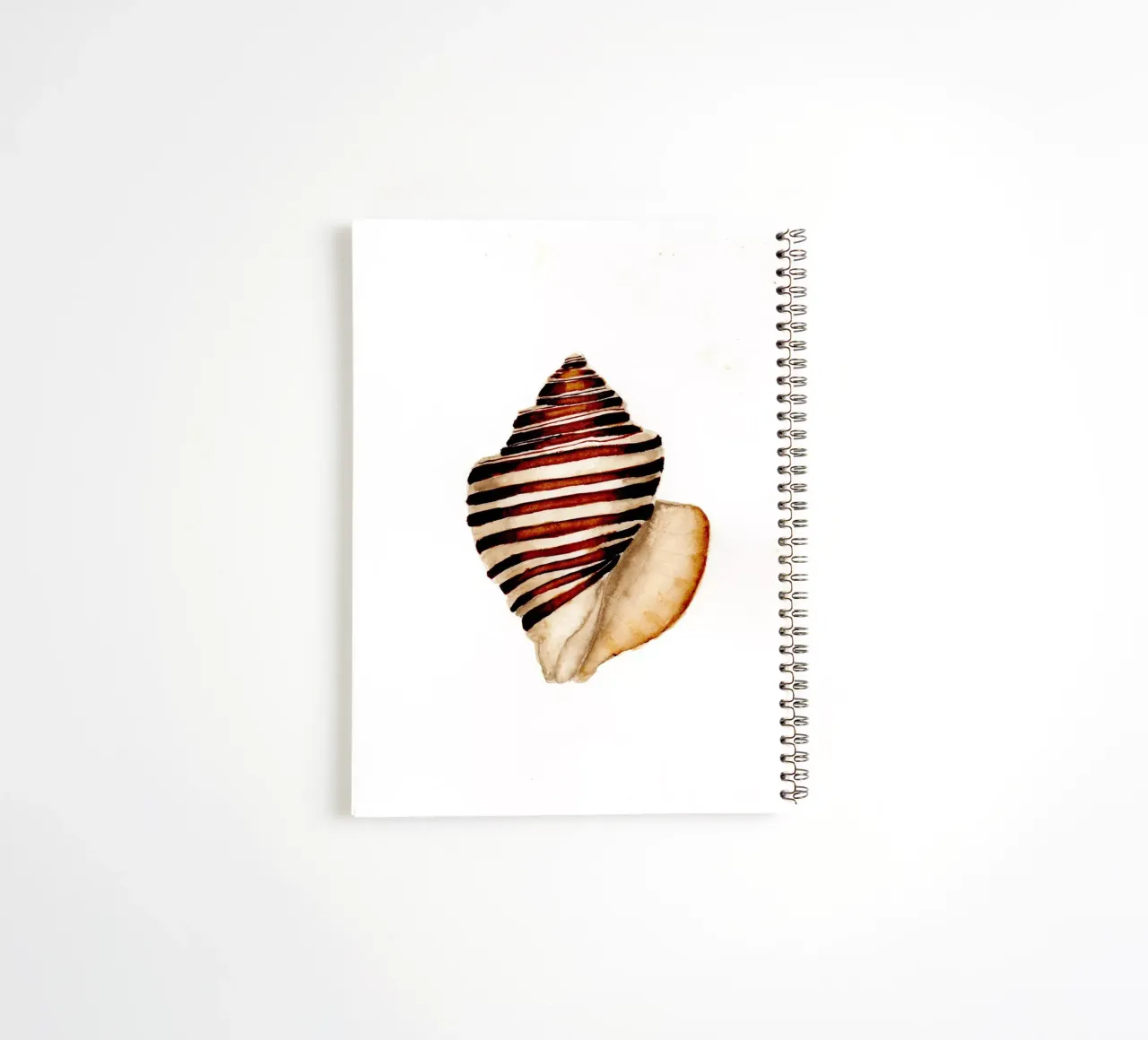 stripe shell spiral notebook by Nathys_illustration
