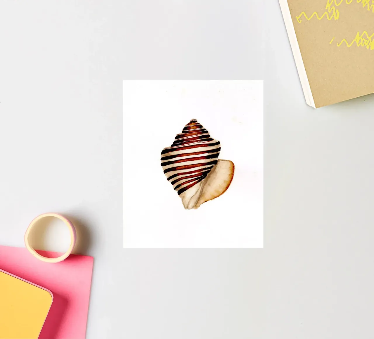 stripe shell pegatina de Nathys_illustration