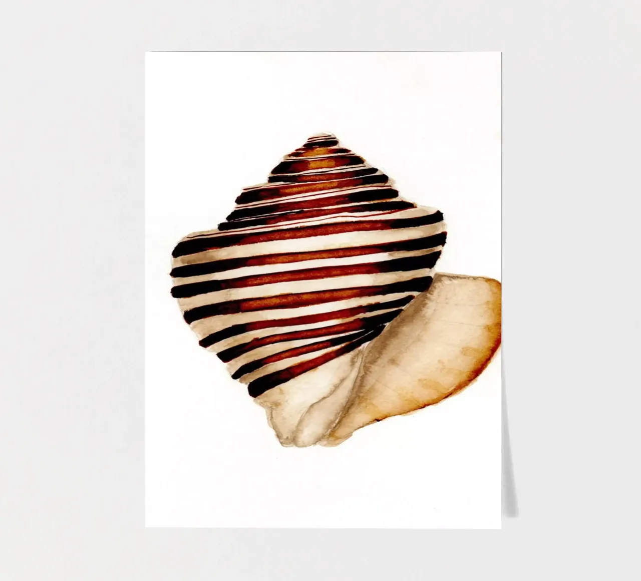 stripe shell sticker sheet by Nathys_illustration