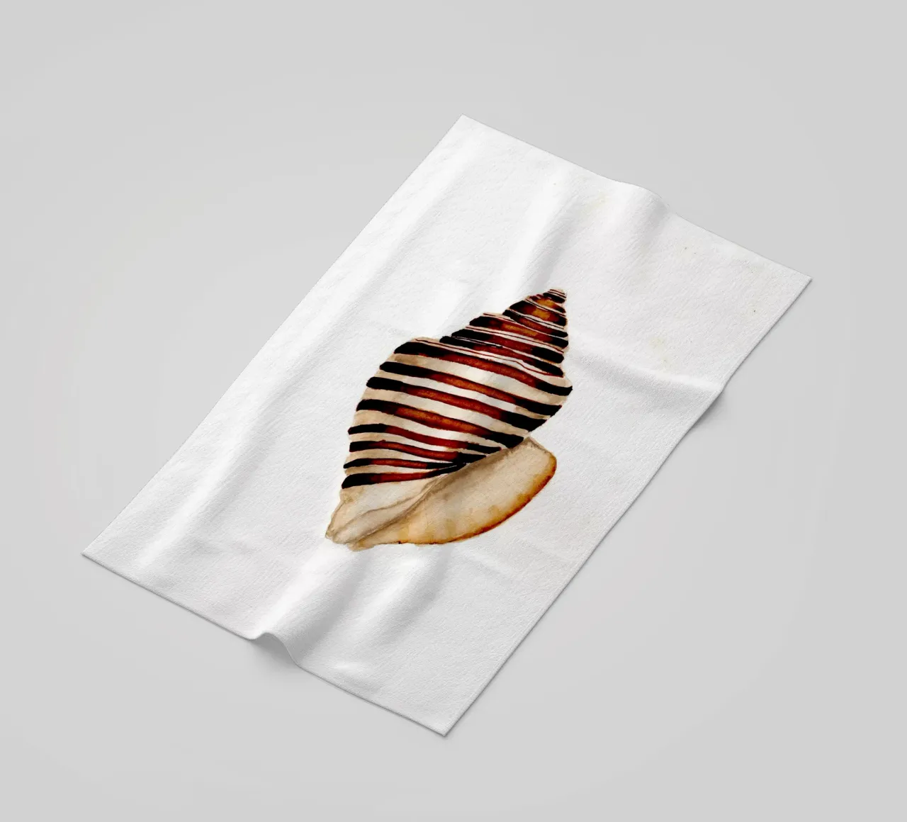 stripe shell telo mare da Nathys_illustration