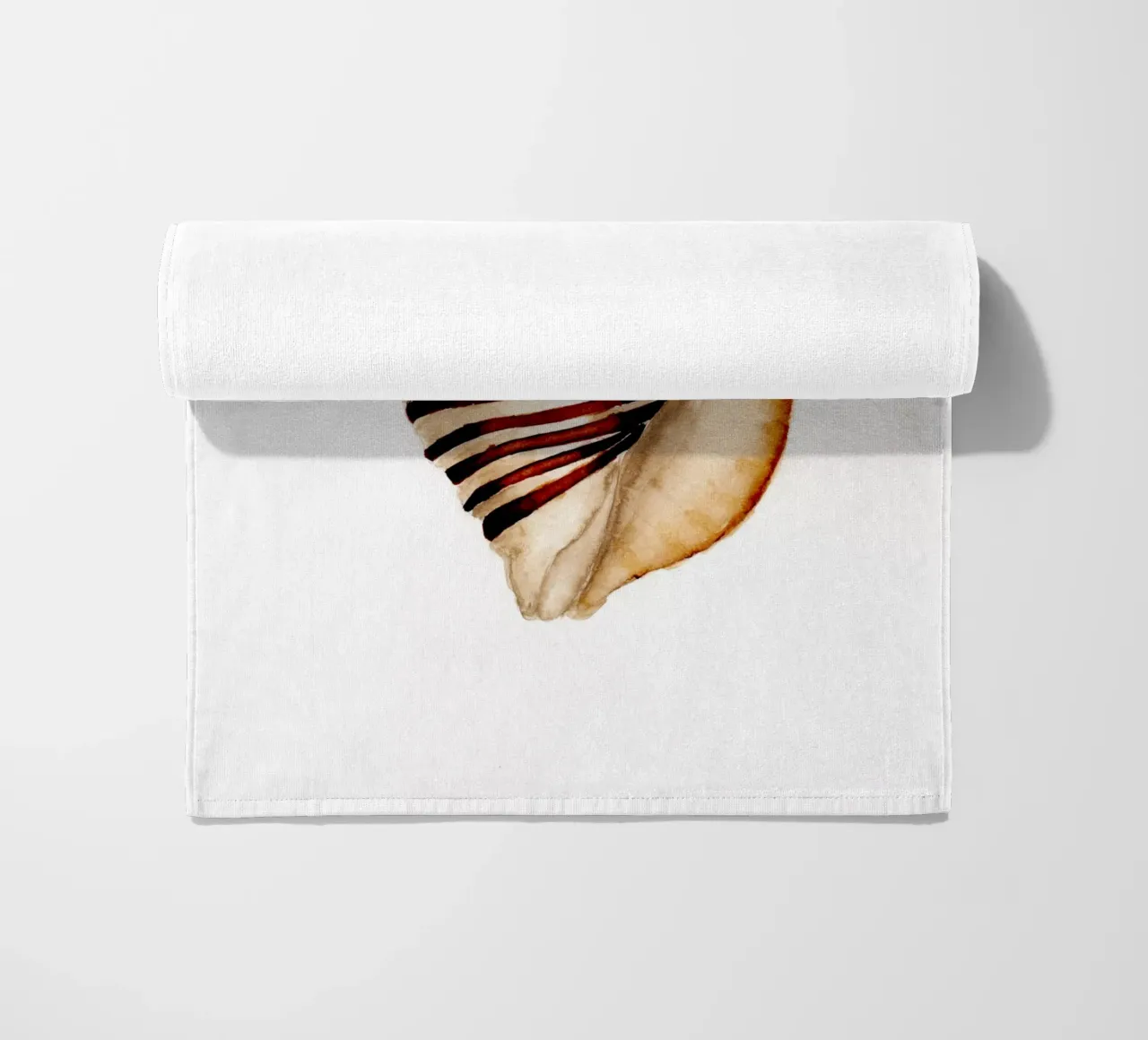 stripe shell telo mare da Nathys_illustration