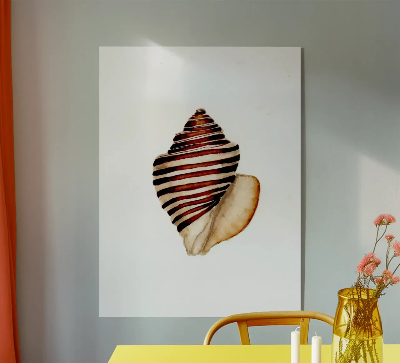 stripe shell metacrilato de Nathys_illustration