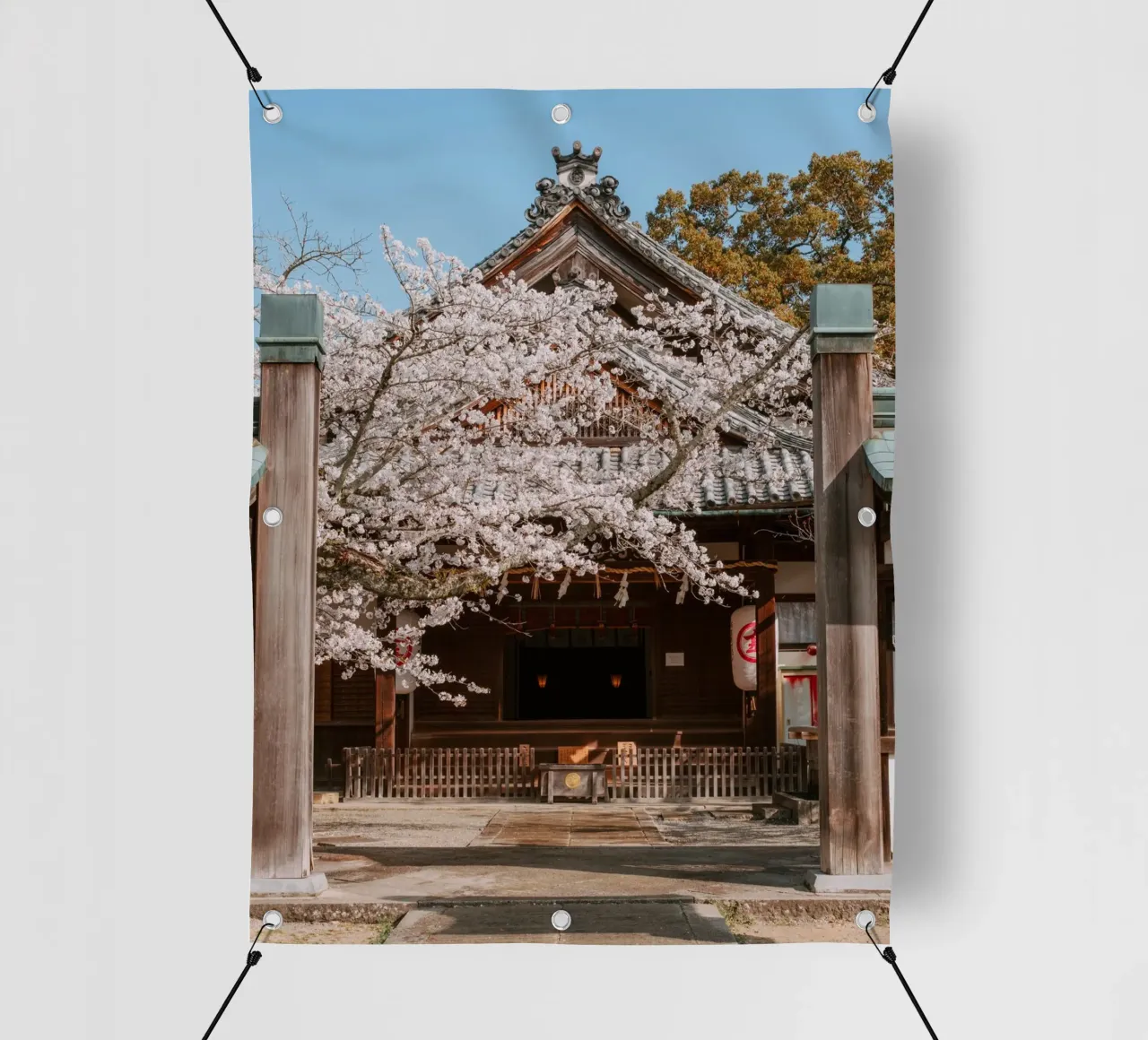 Tempio dei ciliegi in fiore a Shikoku, Giappone telo in pvc da Marcel Bisig