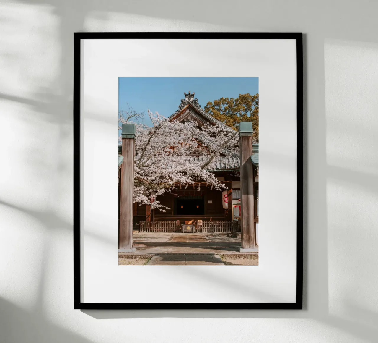 Tempio dei ciliegi in fiore a Shikoku, Giappone carta hahnemühle da Marcel Bisig