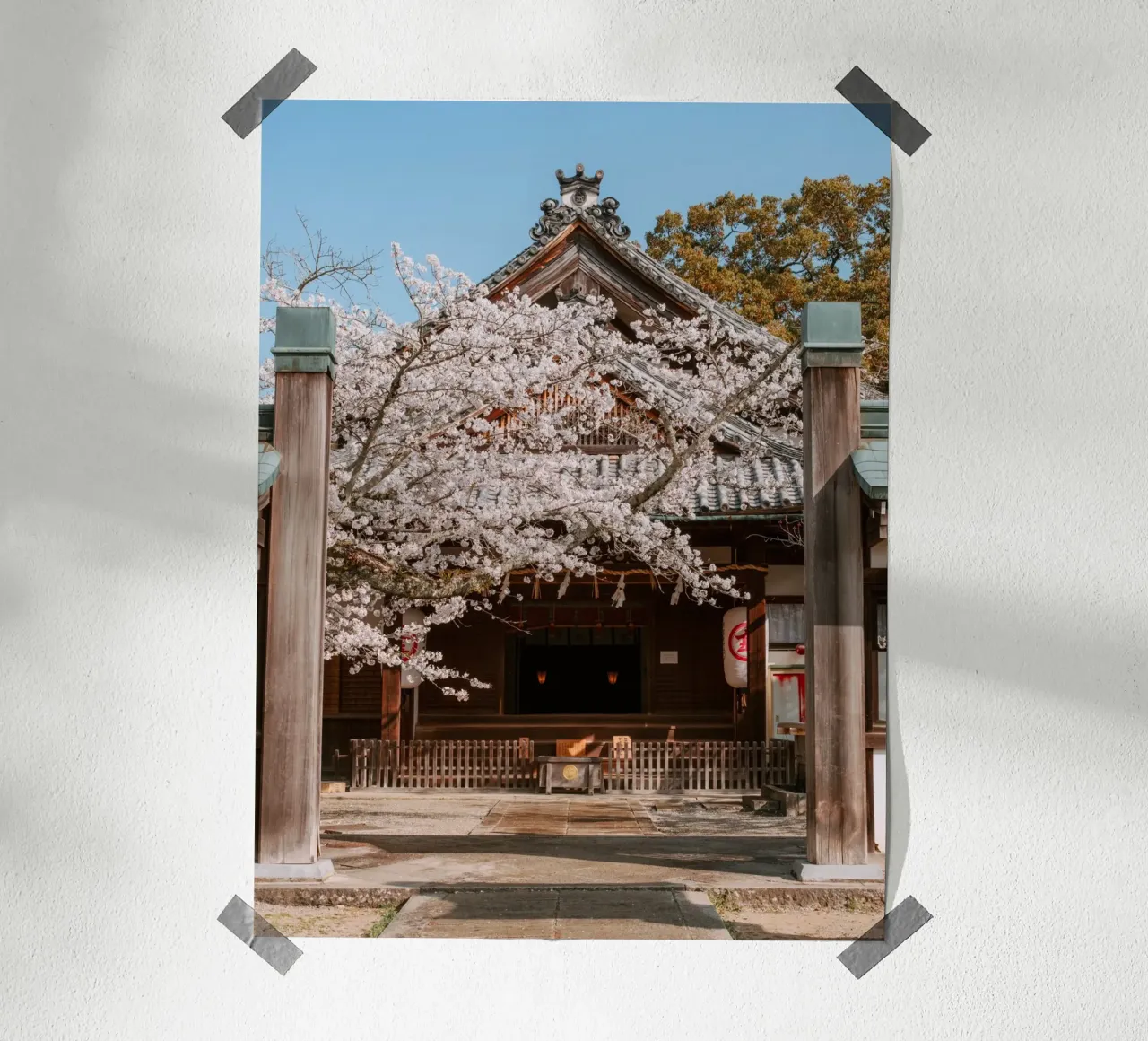 Tempio dei ciliegi in fiore a Shikoku, Giappone carta hahnemühle da Marcel Bisig