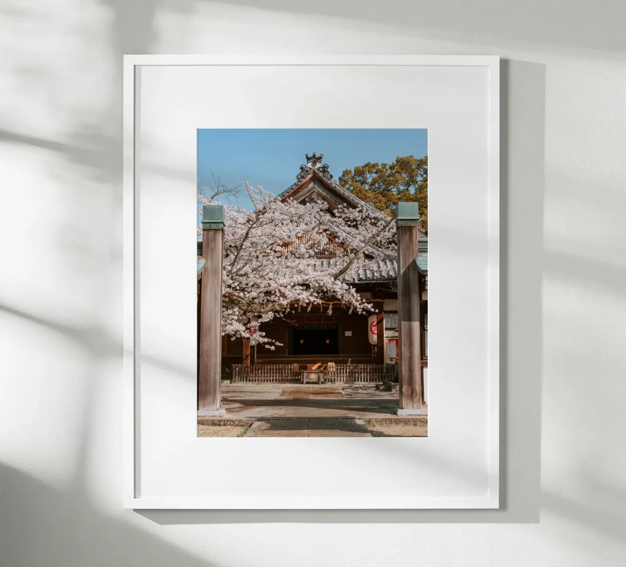 Tempio dei ciliegi in fiore a Shikoku, Giappone carta hahnemühle da Marcel Bisig