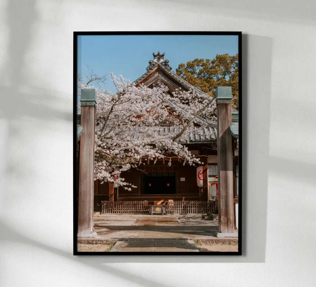 Tempio dei ciliegi in fiore a Shikoku, Giappone carta hahnemühle da Marcel Bisig