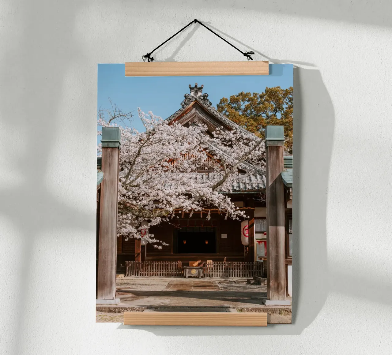 Tempio dei ciliegi in fiore a Shikoku, Giappone carta hahnemühle da Marcel Bisig