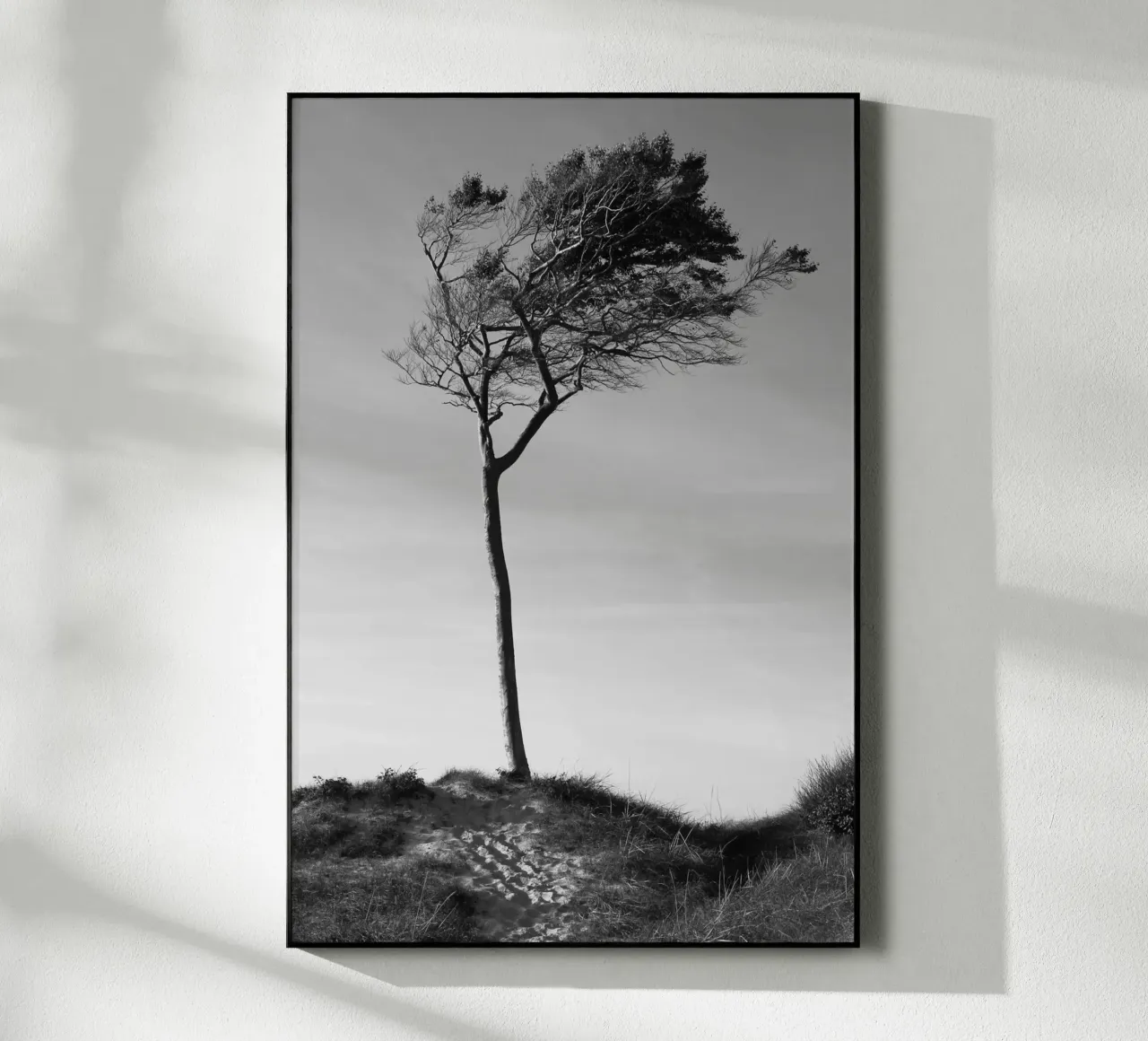 Albero plexiglass da eyes & tries