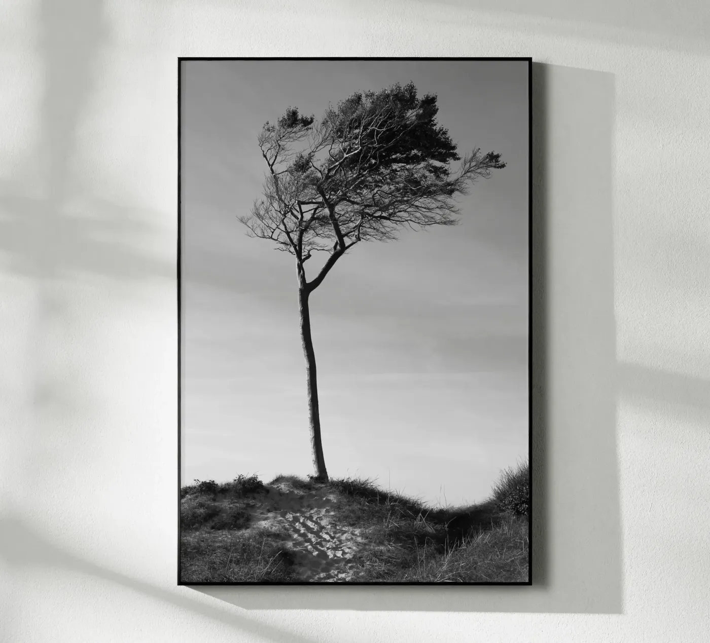 Baum Acryl-Glas von eyes & tries