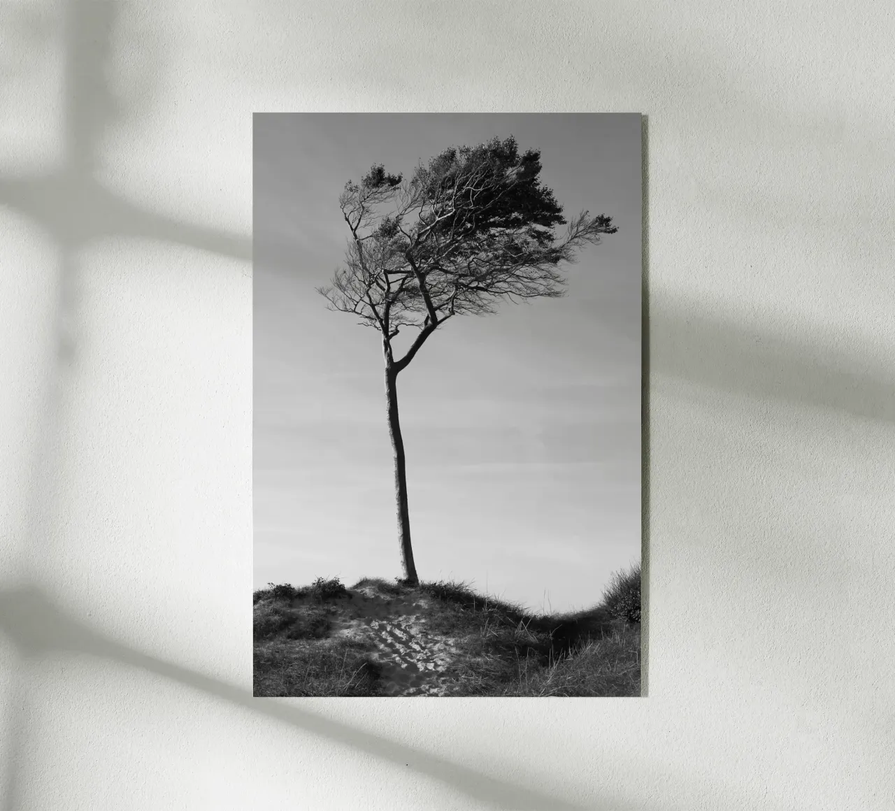 Albero plexiglass da eyes & tries