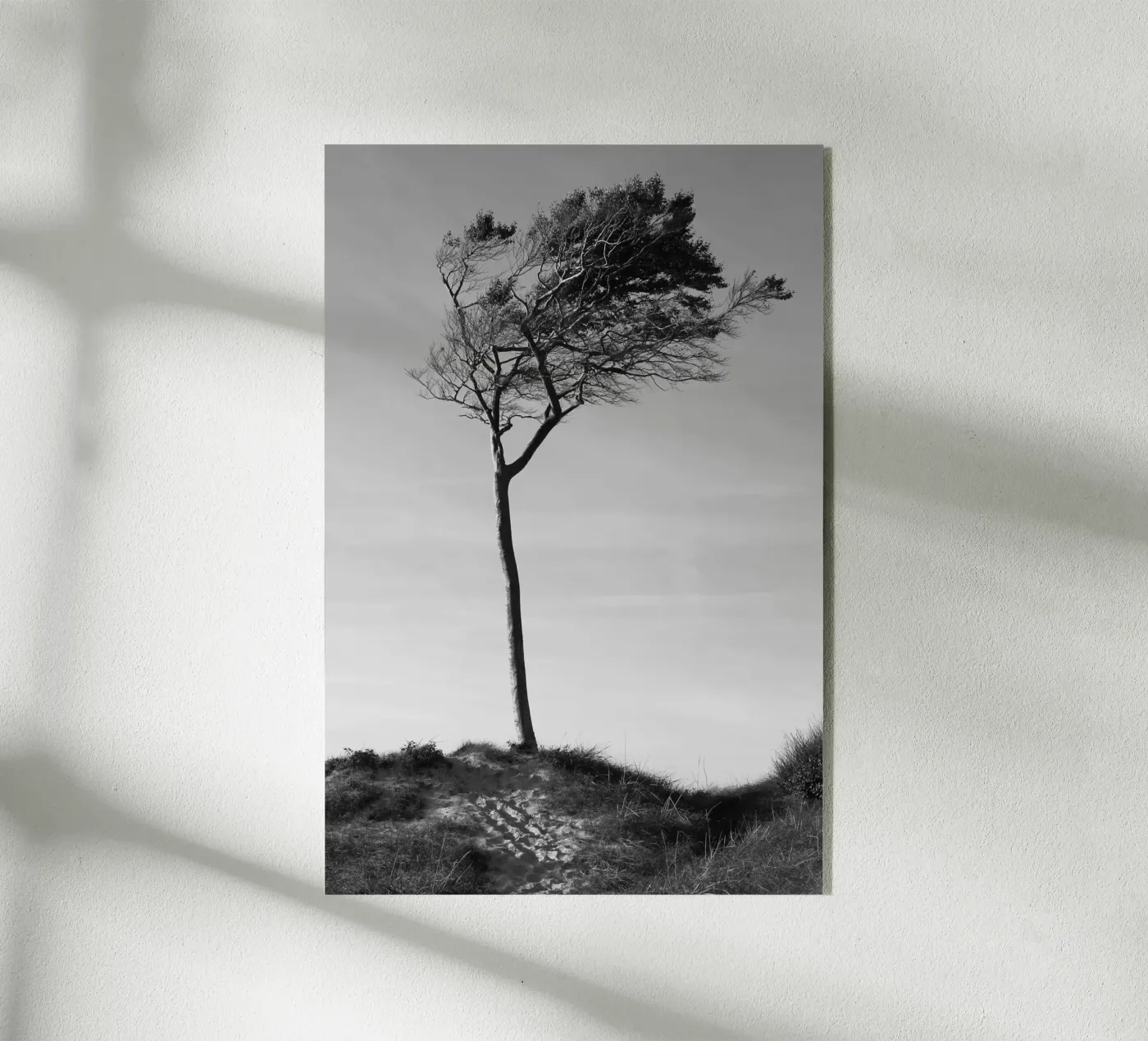 Baum Acryl-Glas von eyes & tries