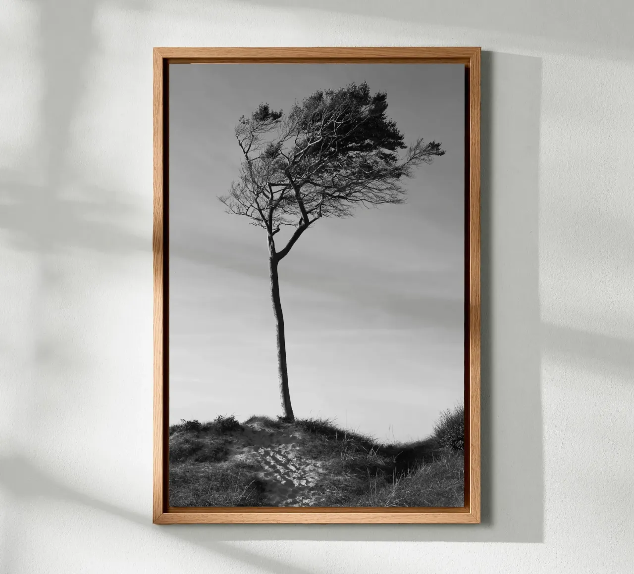 Albero alluminio dibond da eyes & tries