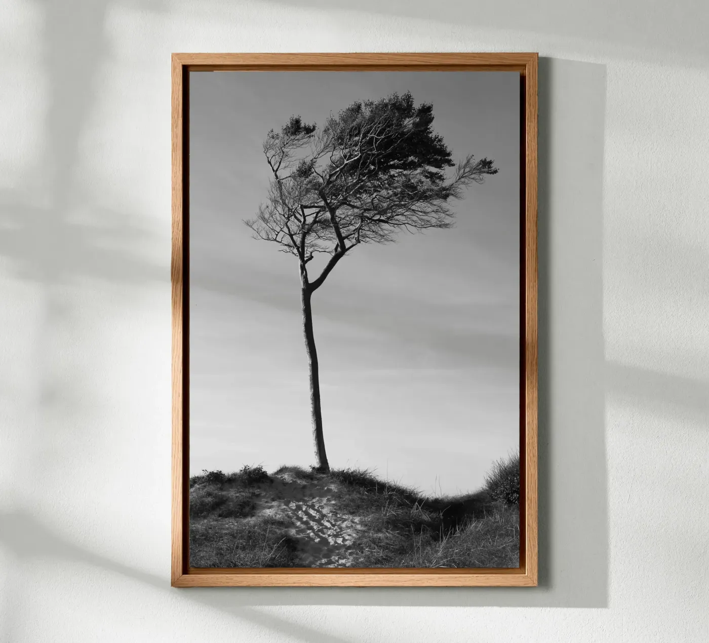 Tree canvas by eyes & tries