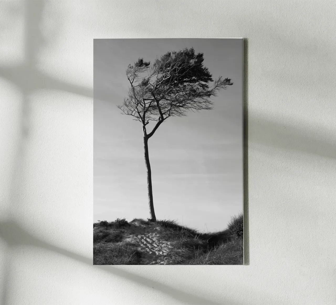 Tree canvas by eyes & tries