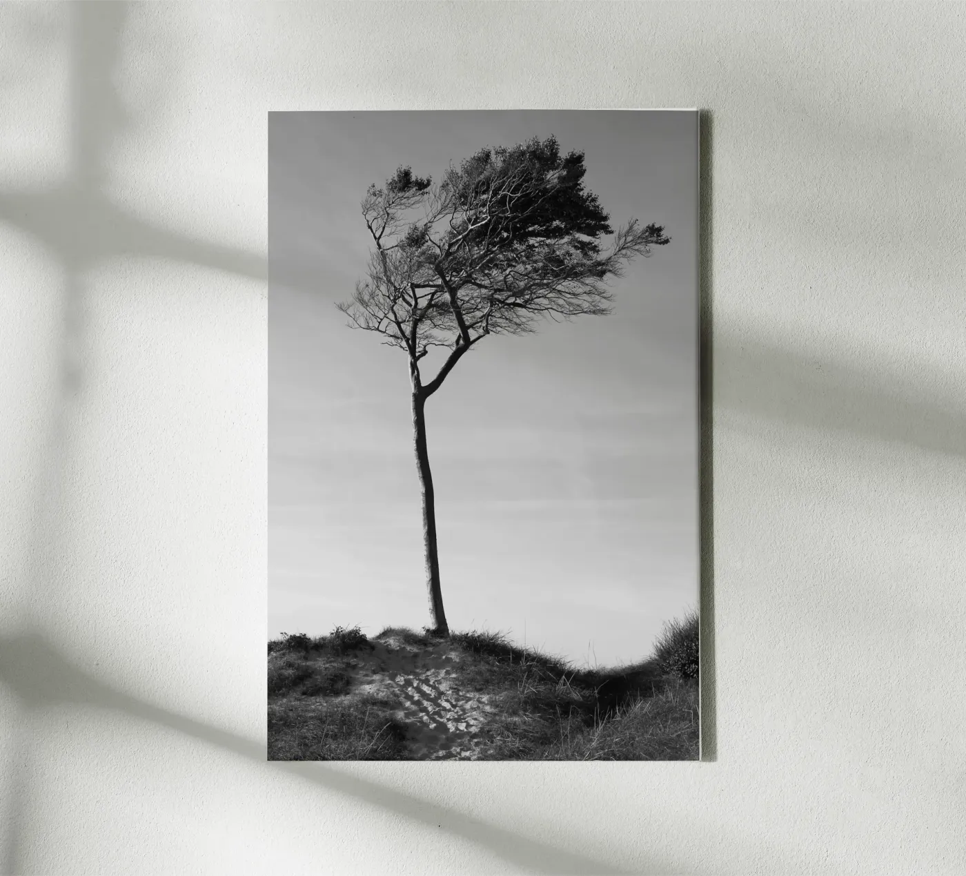 Tree canvas by eyes & tries