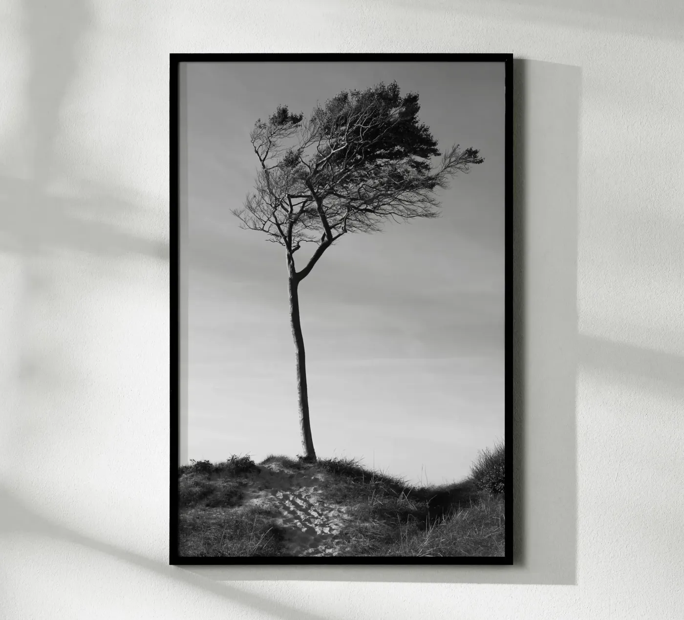 Boom poster van eyes & tries