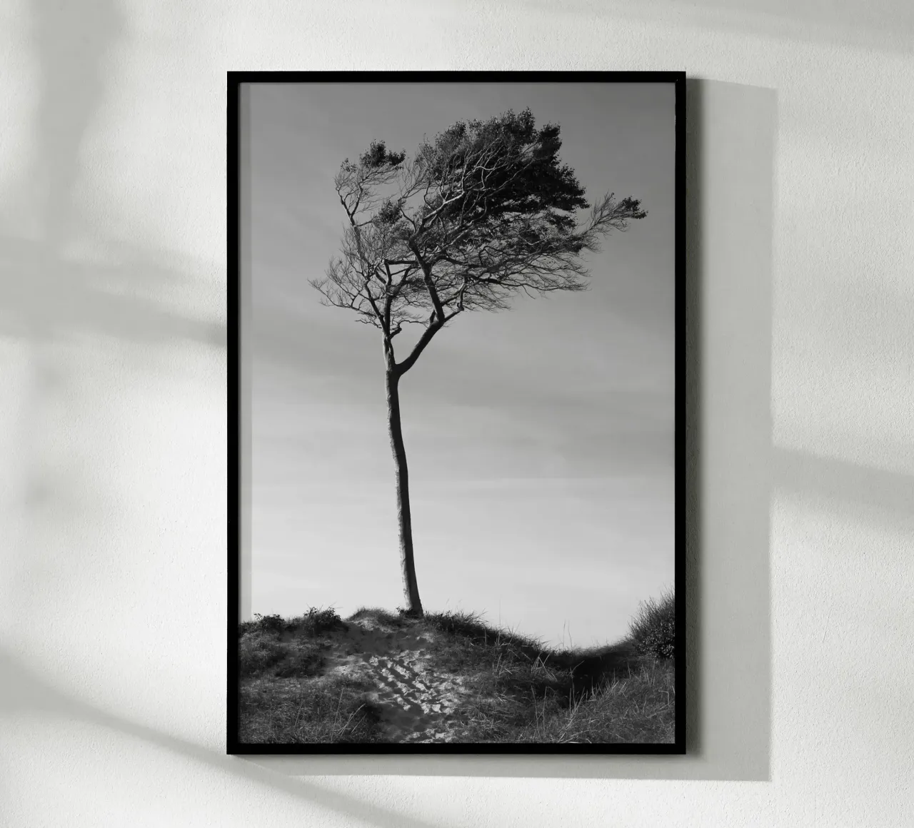 Tree poster by eyes & tries