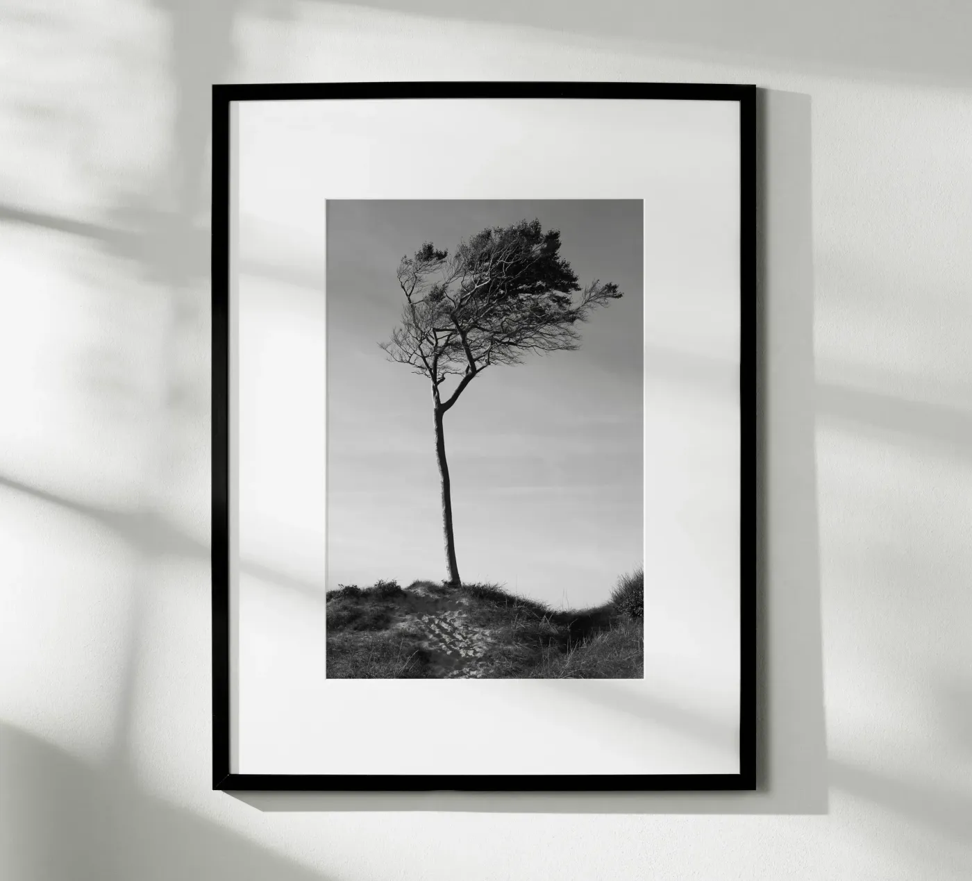 Boom poster van eyes & tries