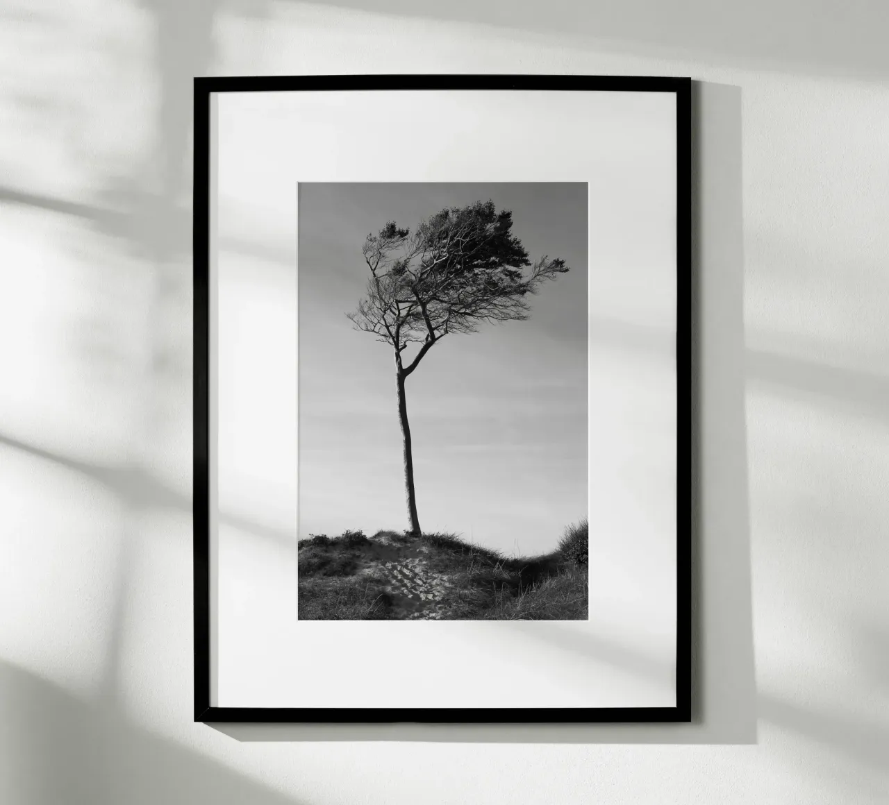 Tree poster by eyes & tries