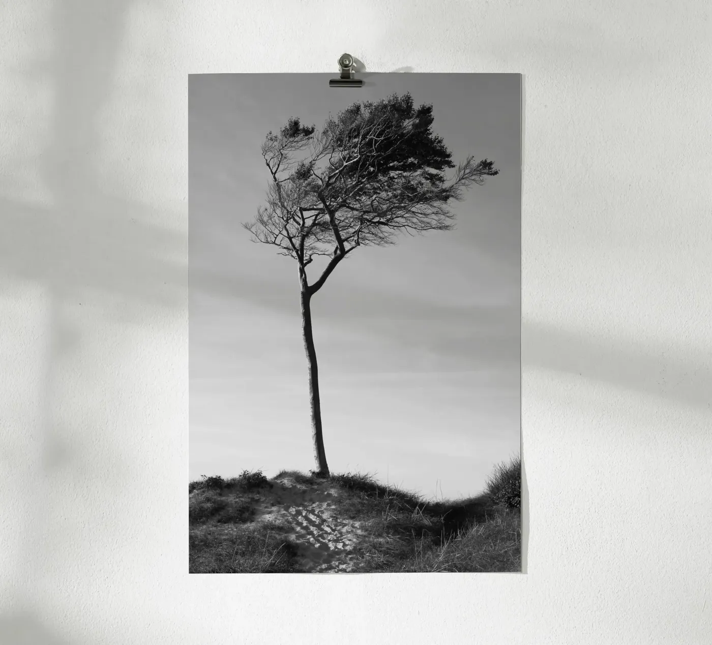 Boom poster van eyes & tries