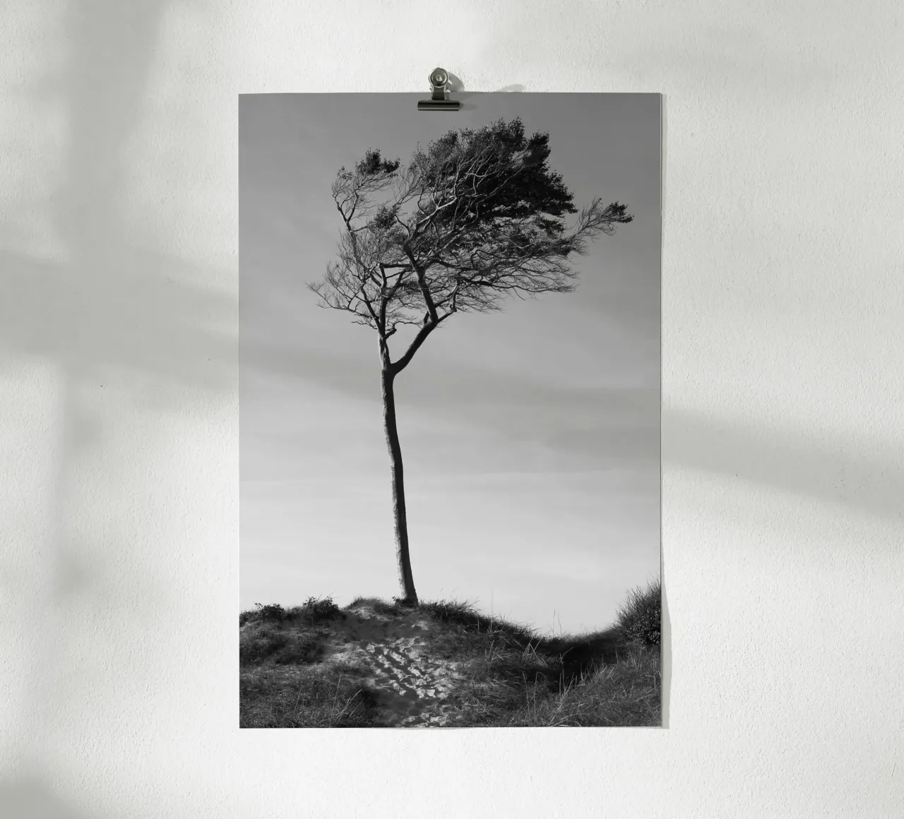 Tree poster by eyes & tries