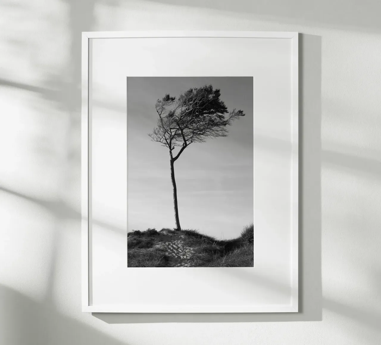 Tree poster by eyes & tries