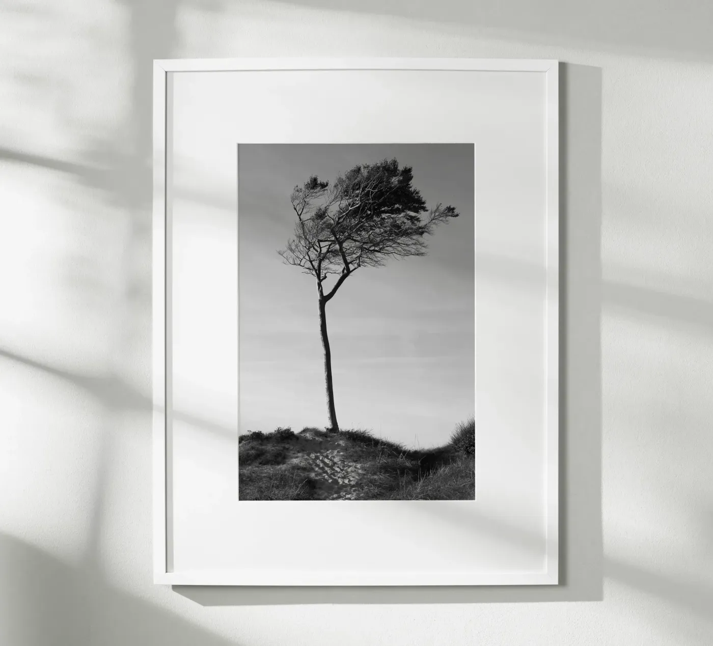 Boom poster van eyes & tries