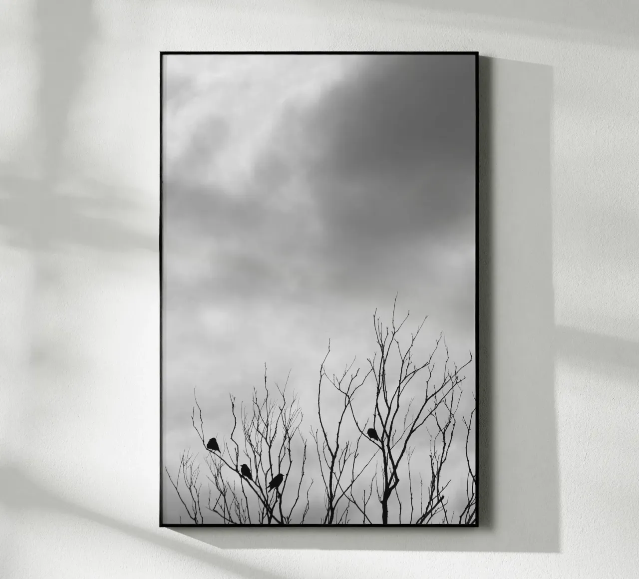 Corvi plexiglass da eyes & tries