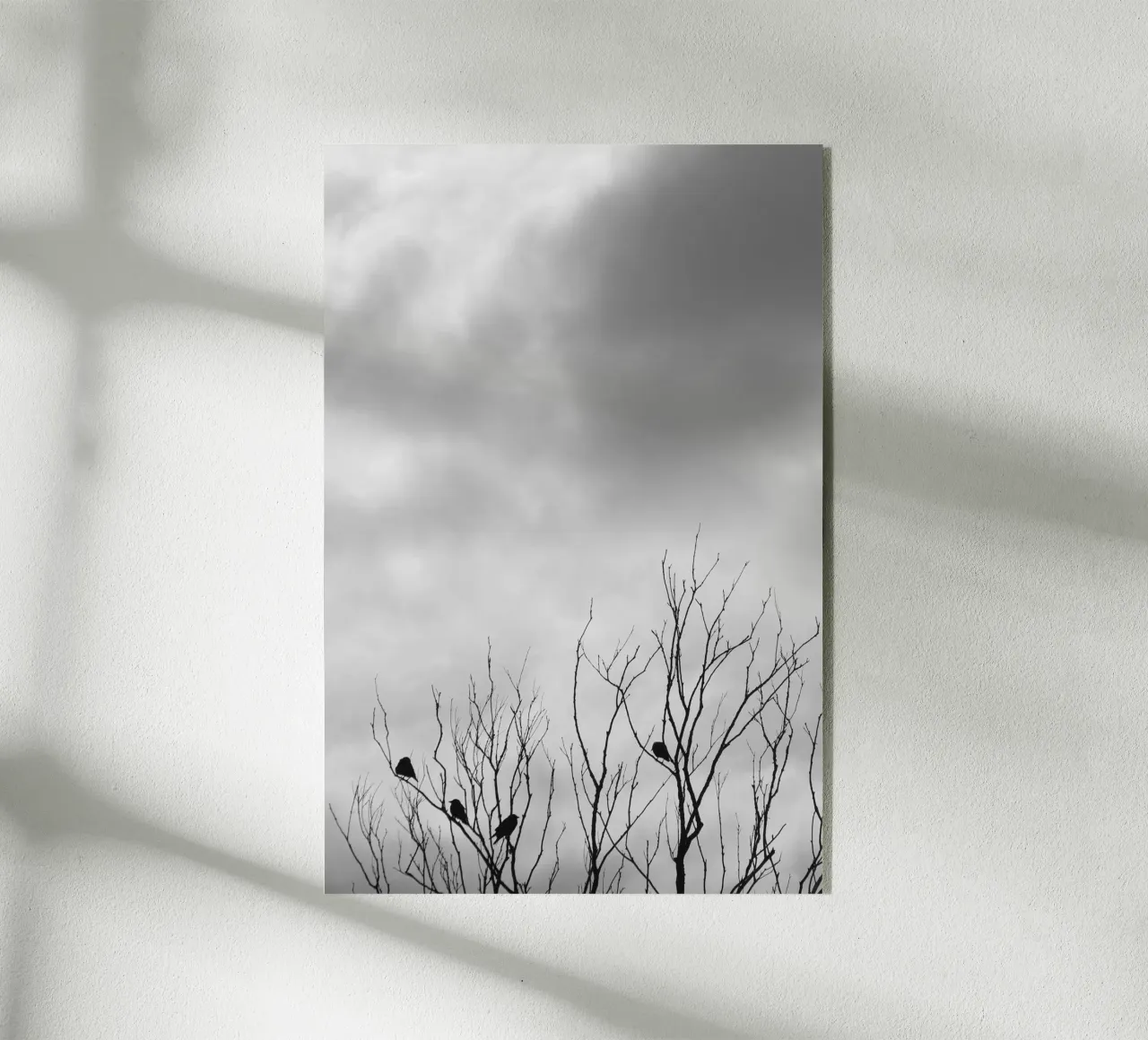 Corvi plexiglass da eyes & tries