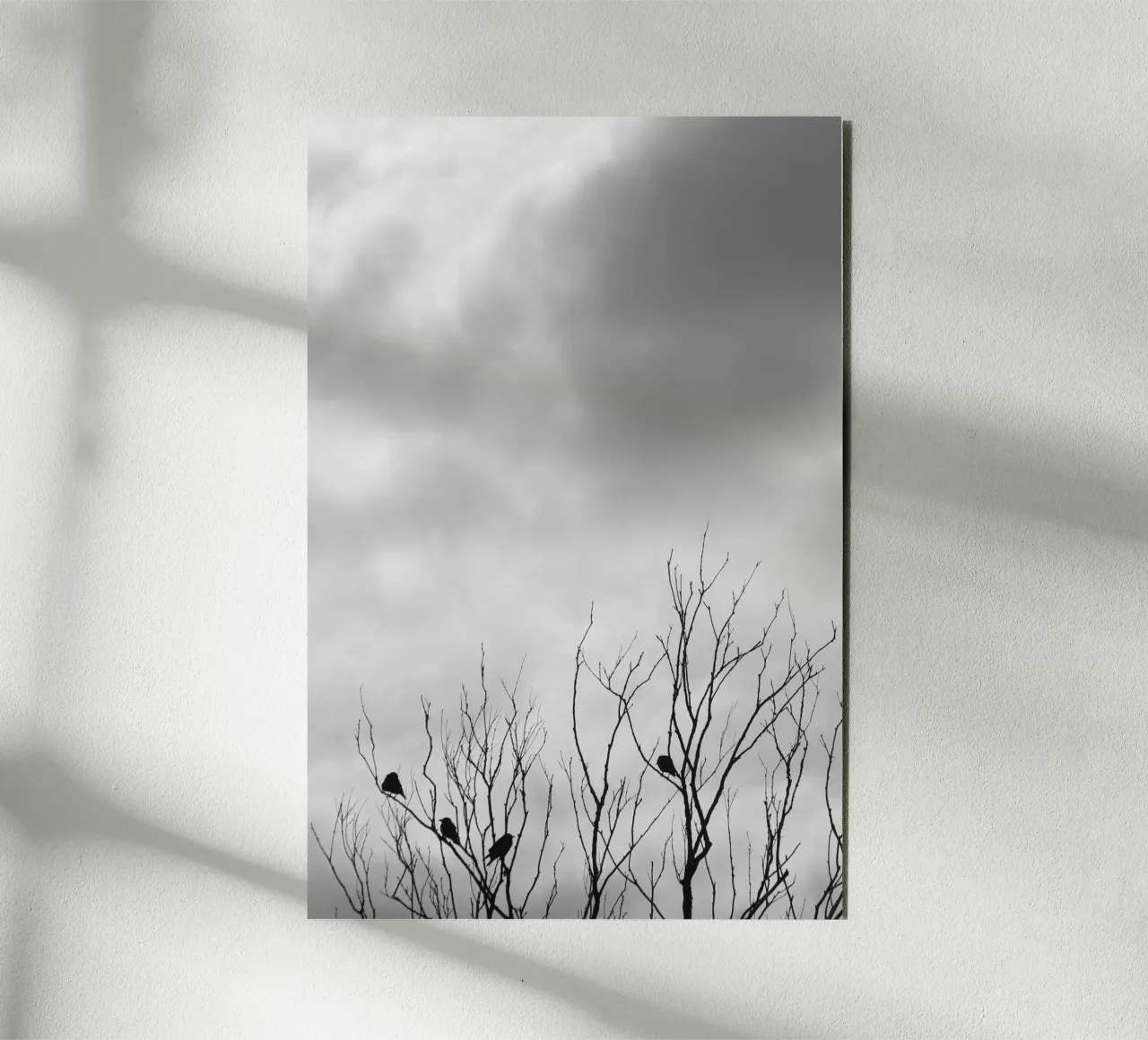 Crows forex plate by eyes & tries