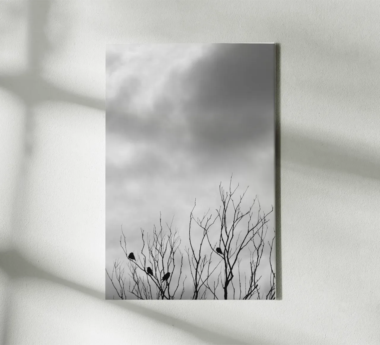 Crows canvas by eyes & tries