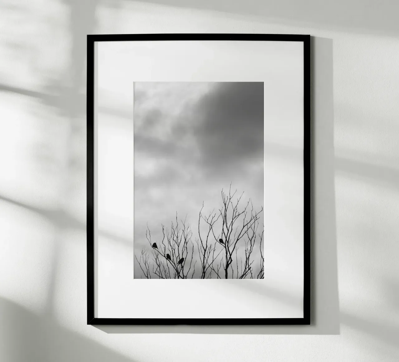 Crows poster by eyes & tries