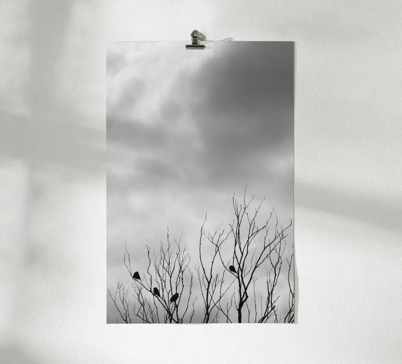 Crows poster by eyes & tries