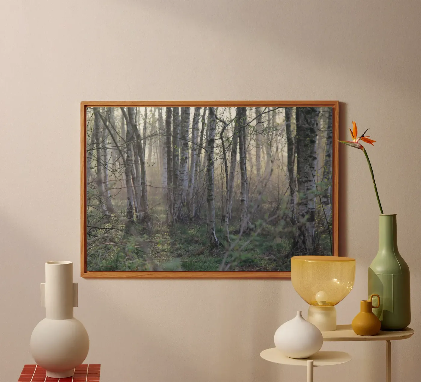 Forest forex plate by eyes & tries