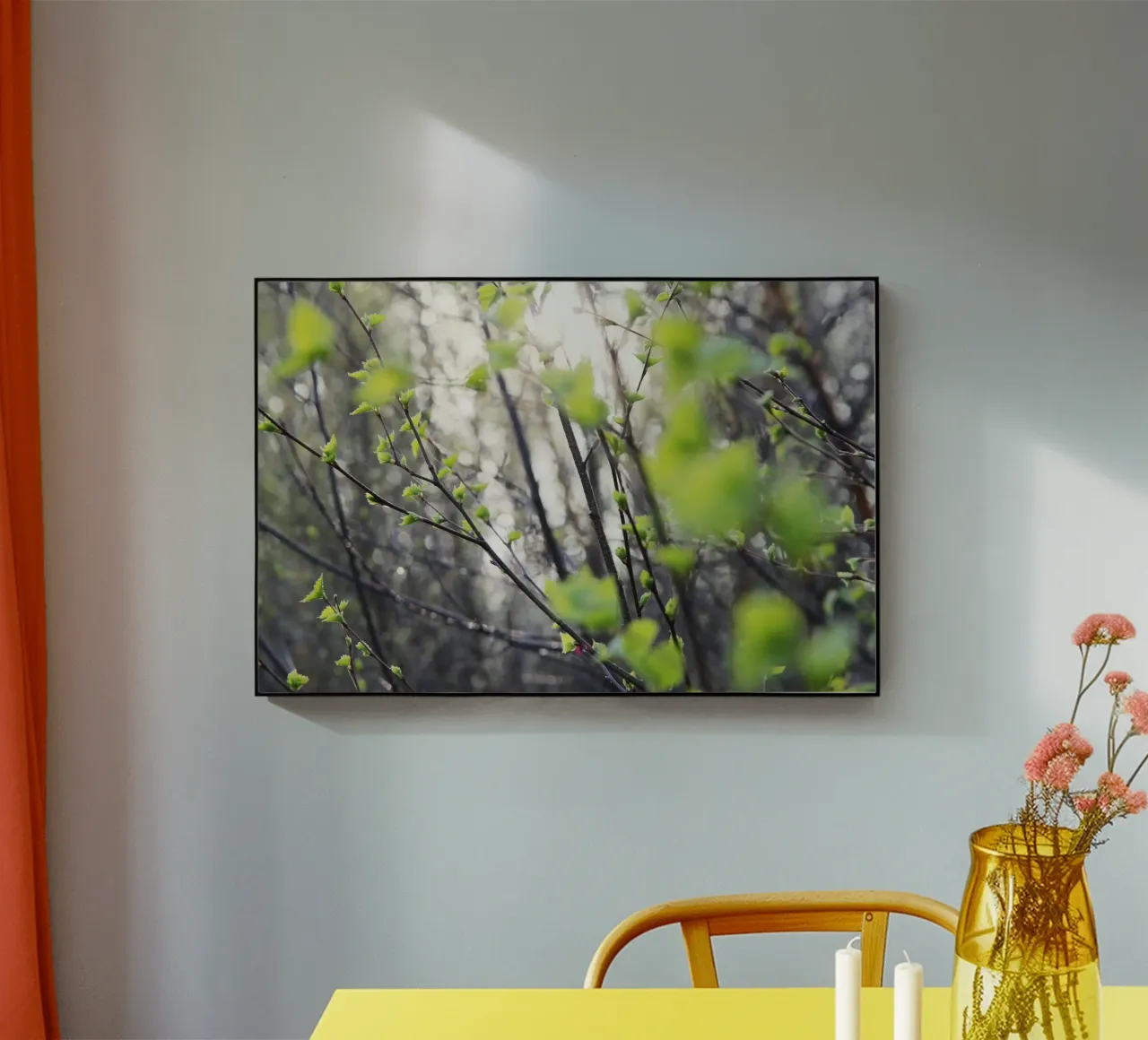 Rami plexiglass da eyes & tries