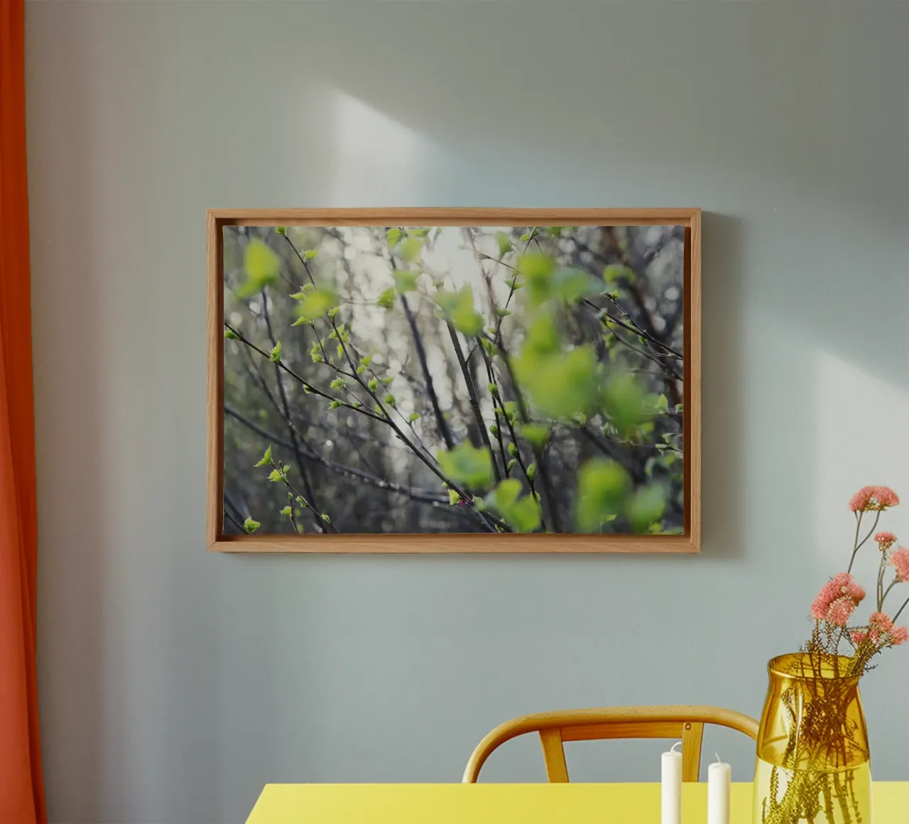 Rami tela da eyes & tries