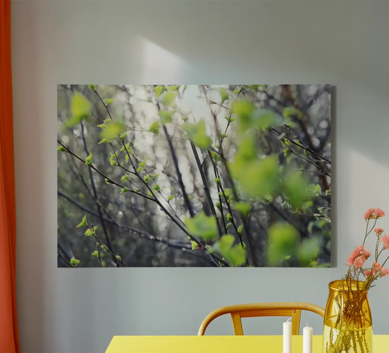 Rami tela da eyes & tries