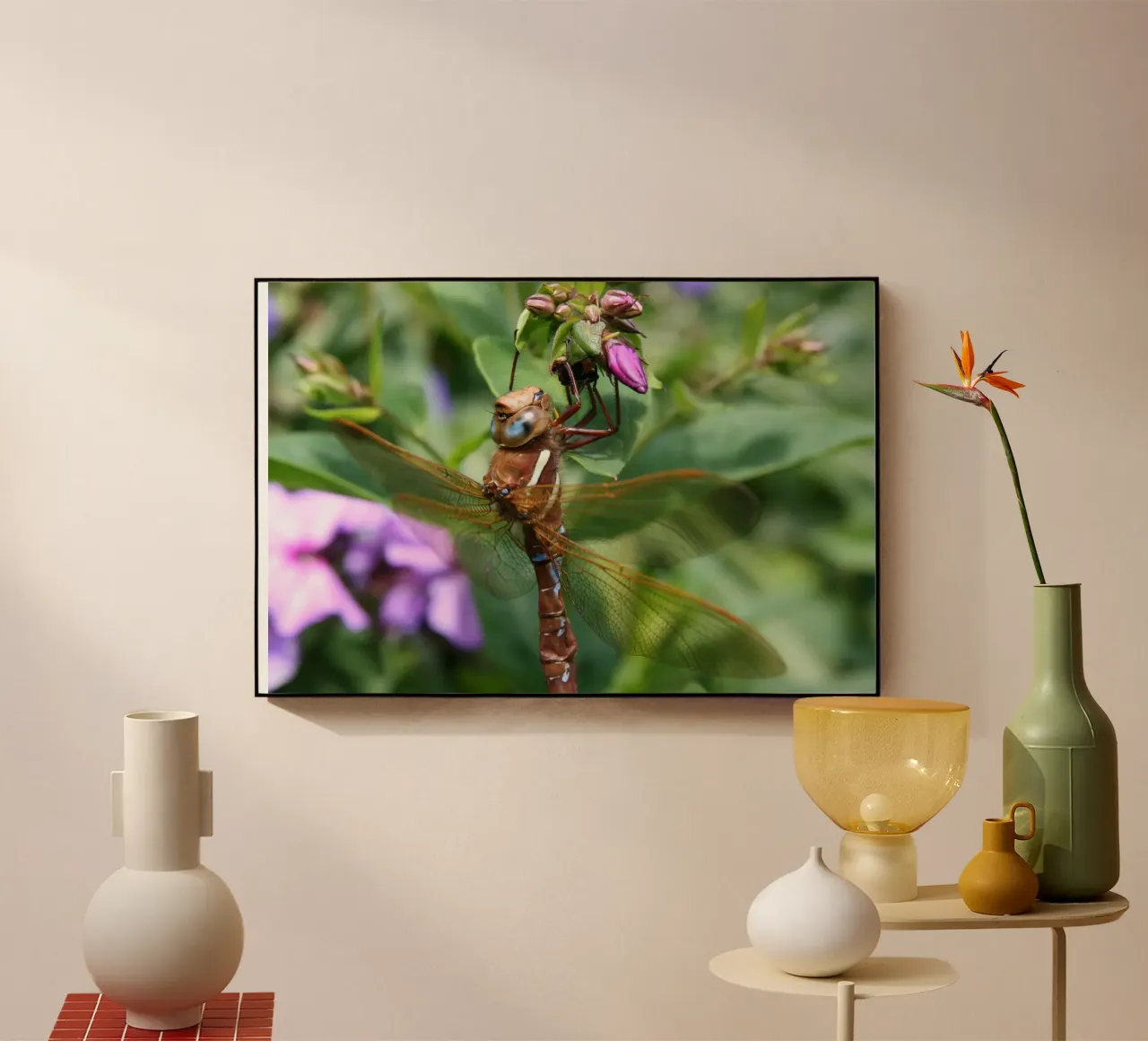 Libellula plexiglass da eyes & tries