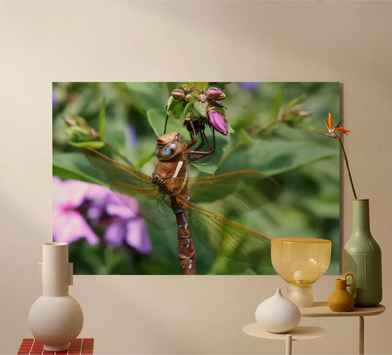 Libellula plexiglass da eyes & tries