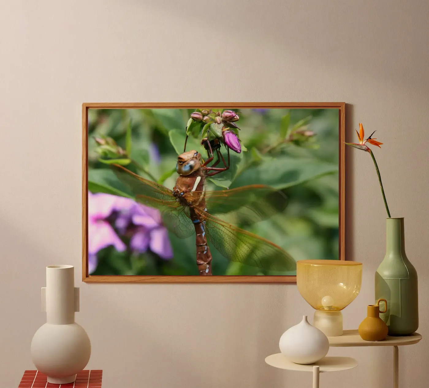 Libellula alluminio dibond da eyes & tries