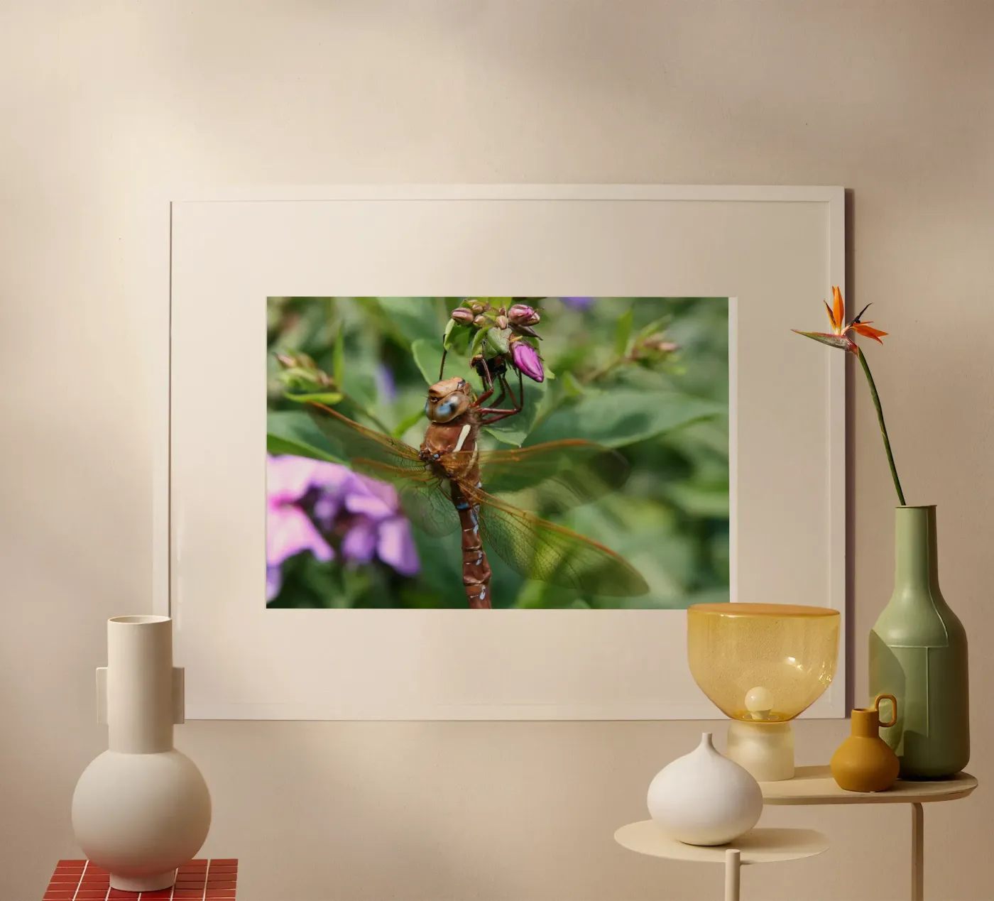 Libellule poster de eyes & tries