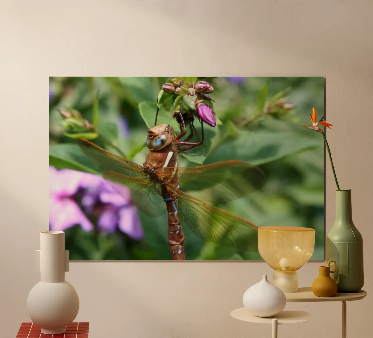 Libellula poster da eyes & tries