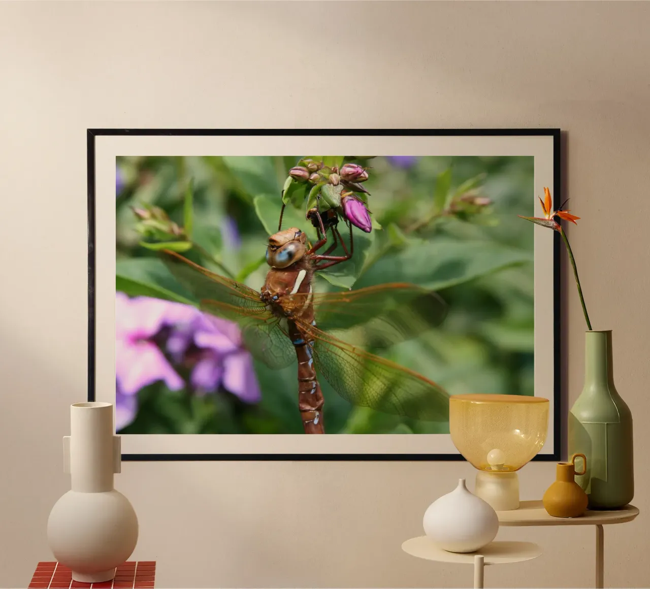 Libellula poster da eyes & tries