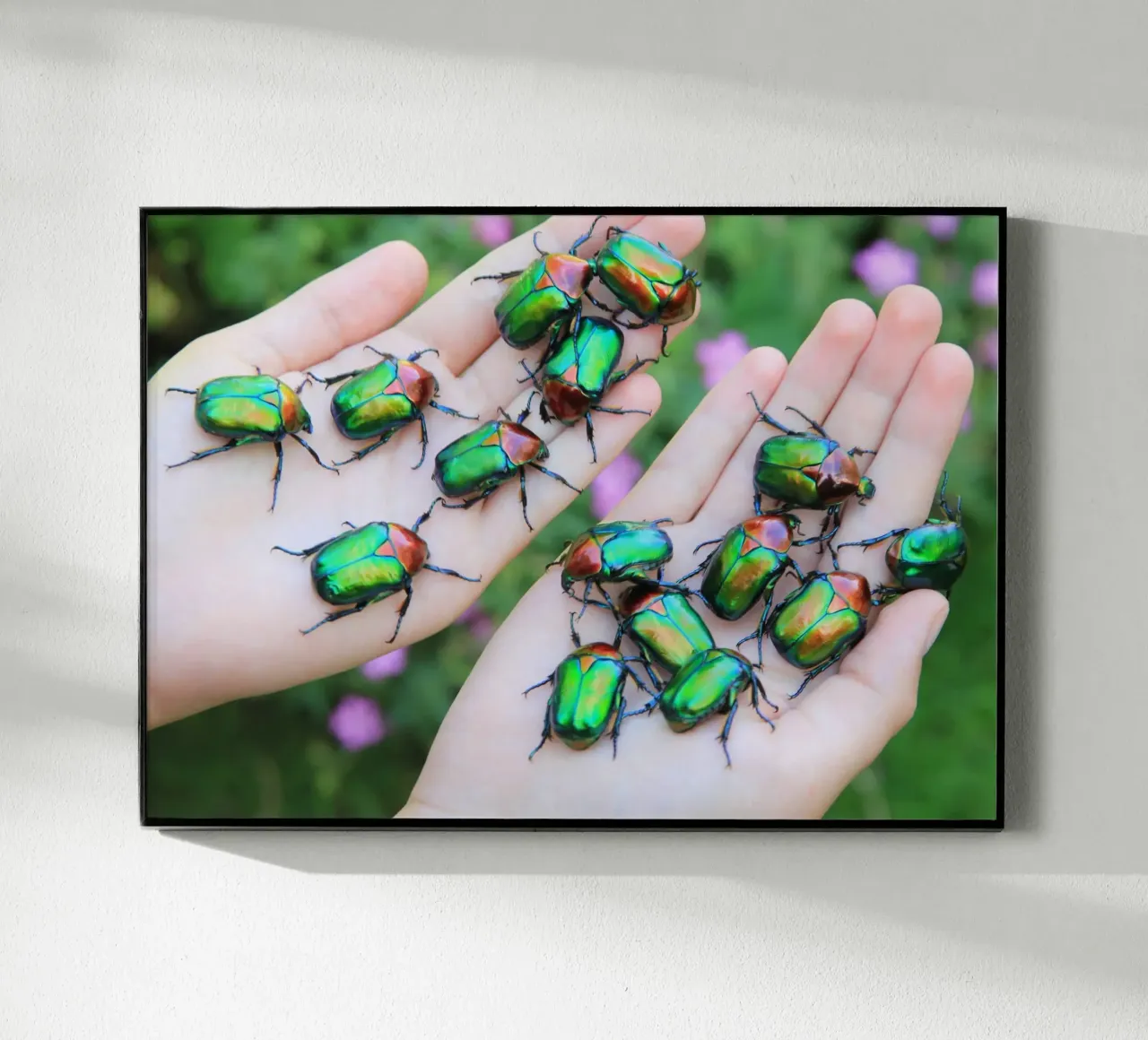 Rosaio plexiglass da eyes & tries