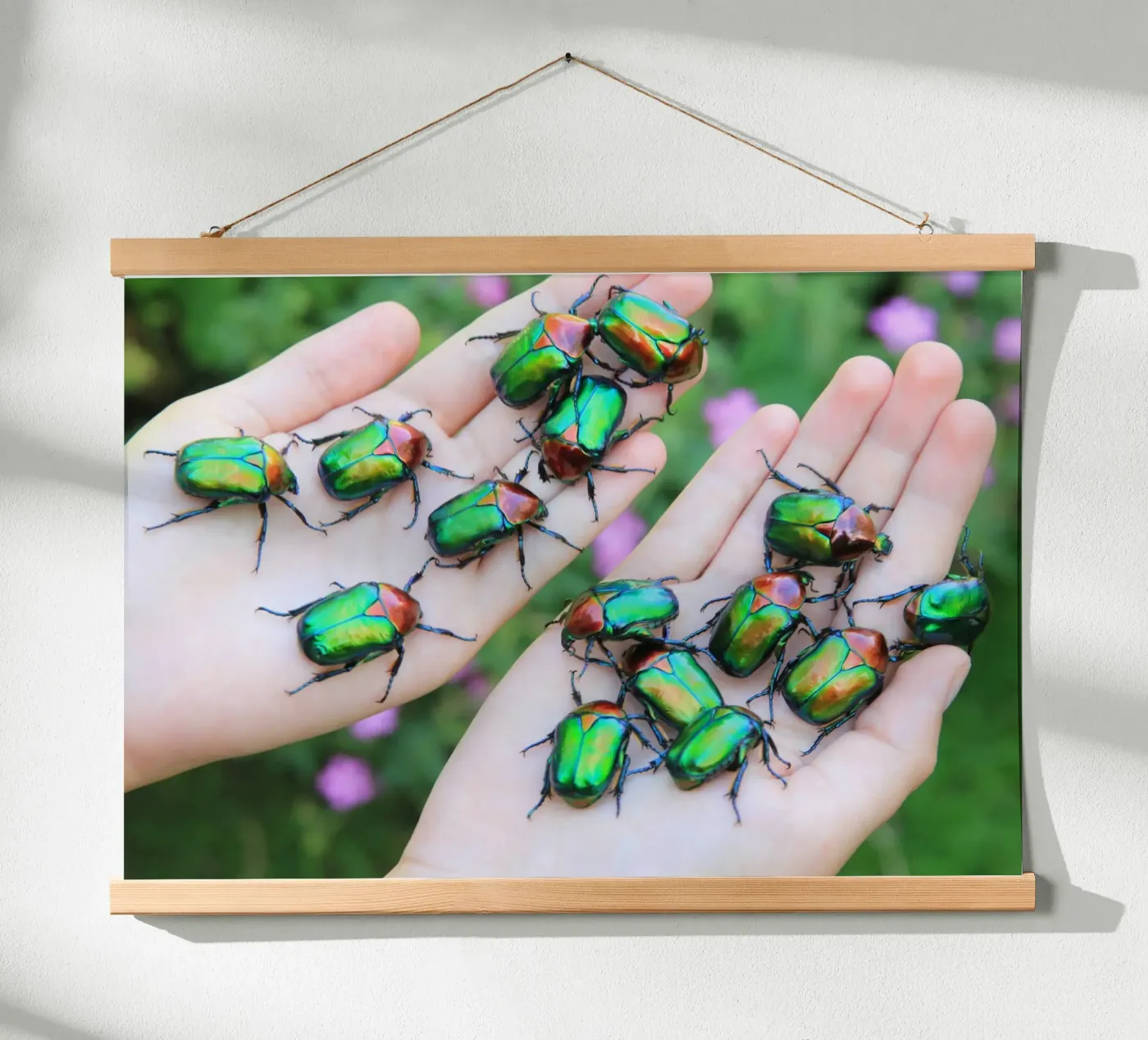 Rose chafer poster by eyes & tries