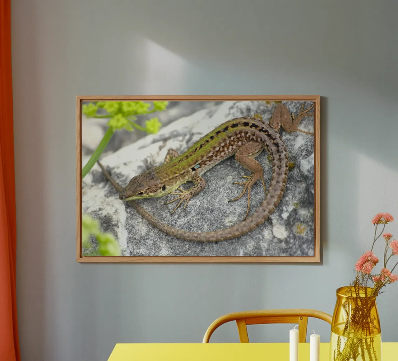 Lizard forex plate by eyes & tries