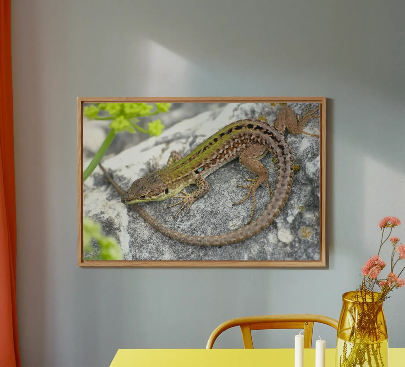 Lucertola alluminio dibond da eyes & tries